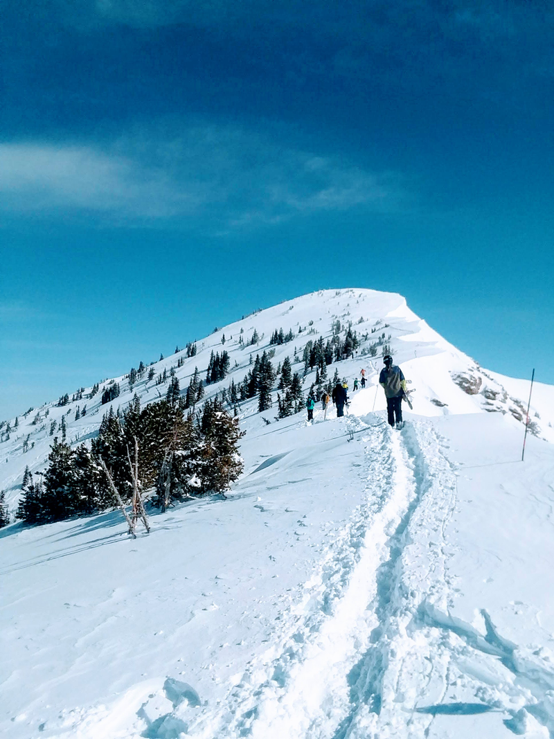 Illustration for article titled '18/'19 Ski Blog (Post #12) -Â Solitude and Snowbird, UT